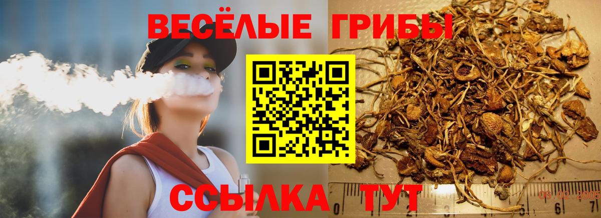 Галлюциногенные грибы мухоморы  Вход с VPN  Кашира 